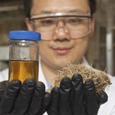 turning-carbohydrates-into-hydrocarbons_1